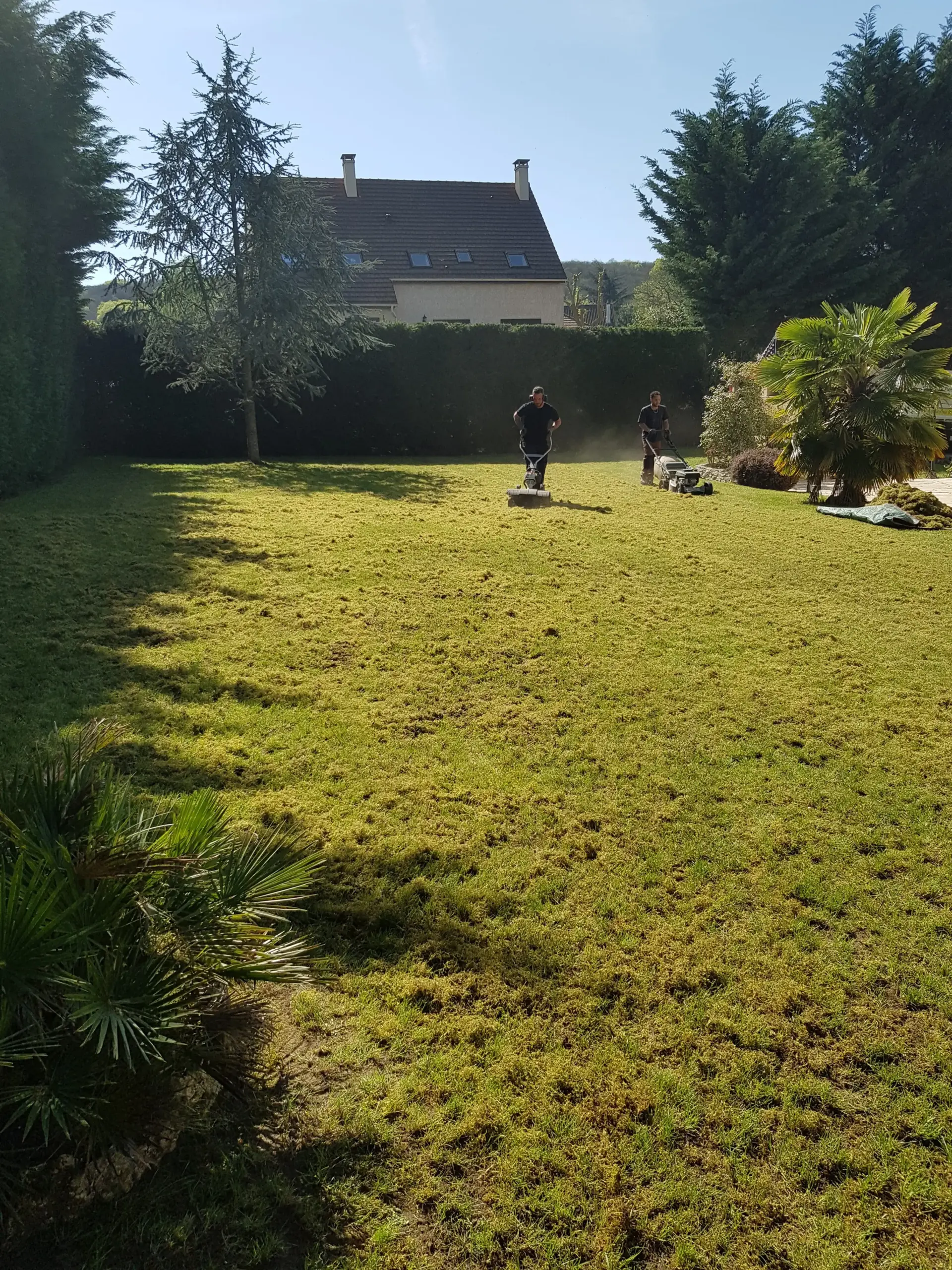 emoussage-de-pelouse-parlons-jardin