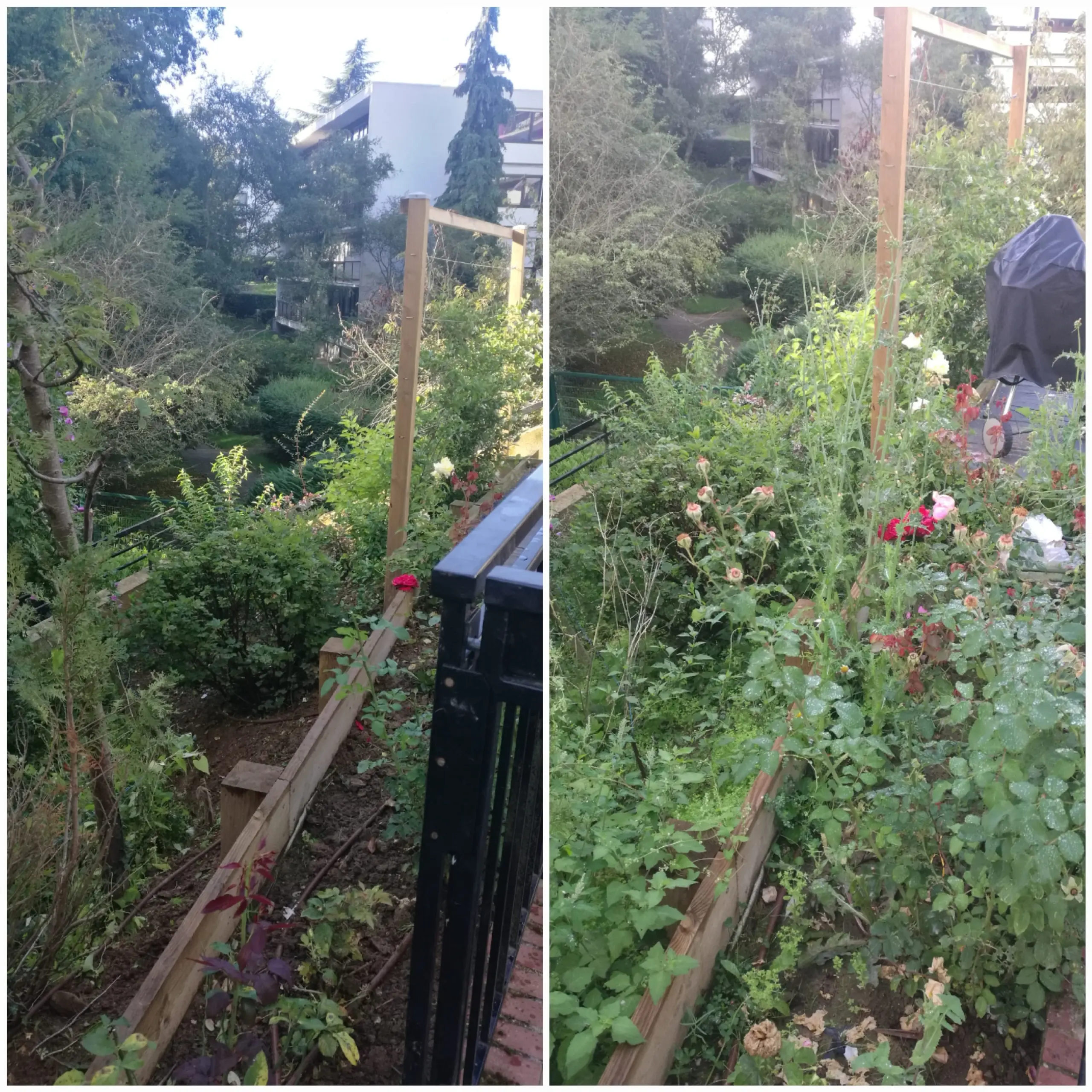 remise-en-etat-jardin-parlons-jardin