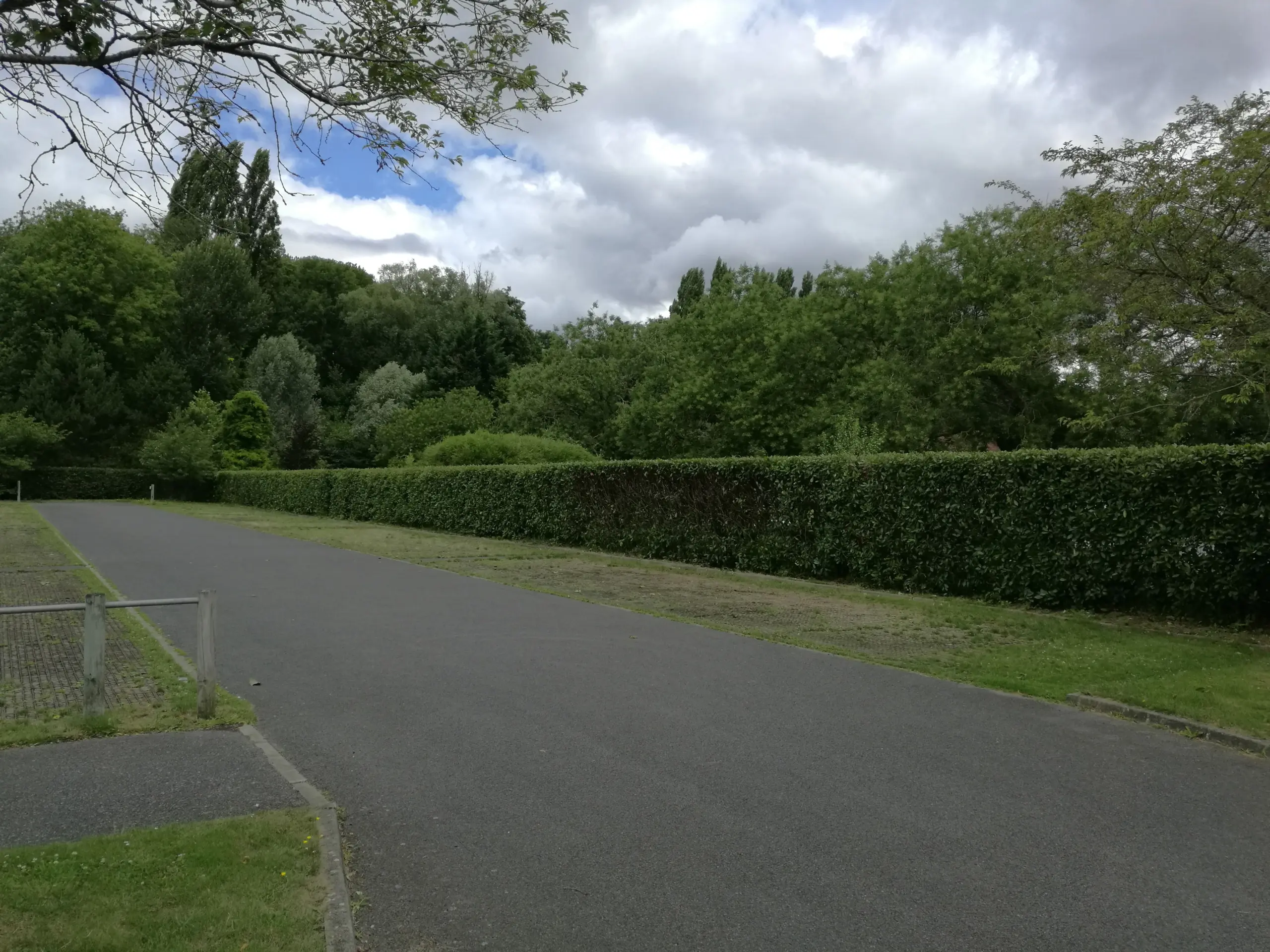taille-de-haie-parlons-jardin