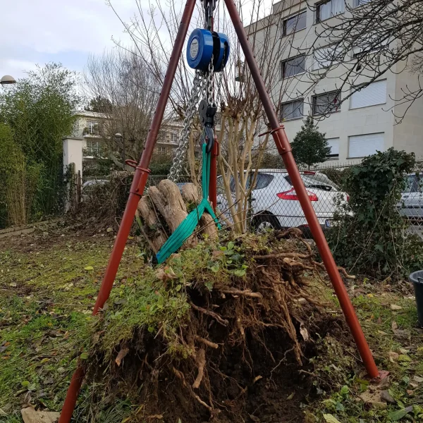arrachage-souche-parlons-jardin