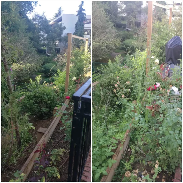 remise-en-etat-jardin-parlons-jardin