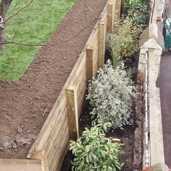 plantation-arbustres-parlons-jardin