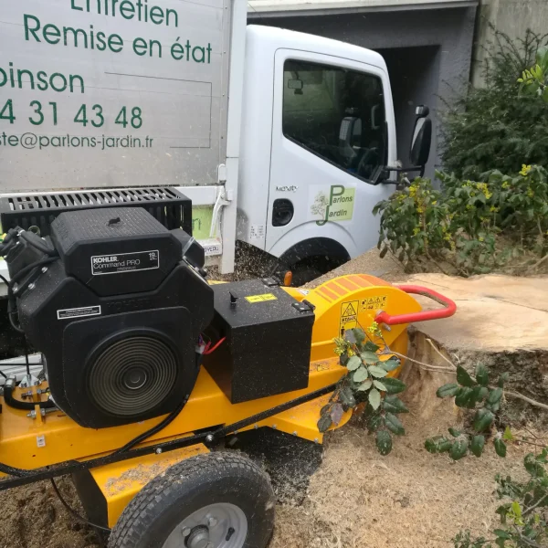 rognage-souche-arbre-parlons-jardin