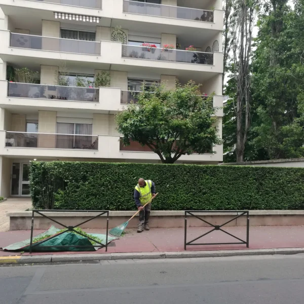taille-de-haie-copropriété-parlons-jardin